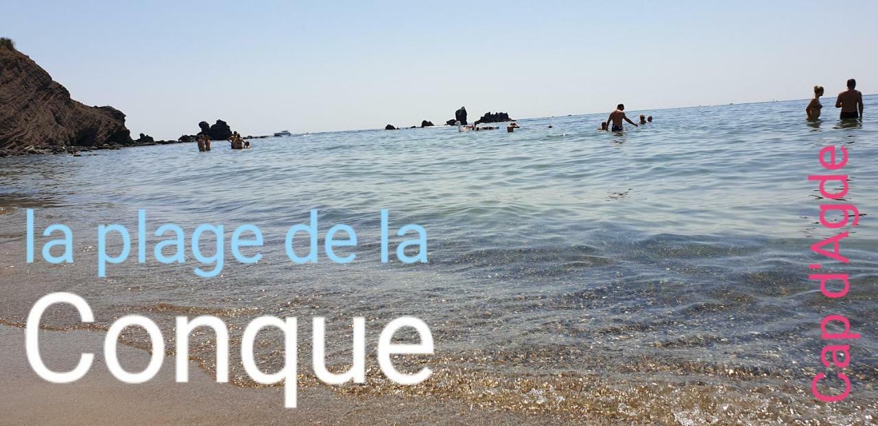 Residence De Standing La Pecherie Spacieux T3 Comme Un Cocon Familial Vue Mer Et Sur L'Avant Port Sur Le Bout Du Bout De Cap D'Agde Seule Cap En Occitanie Buitenkant foto